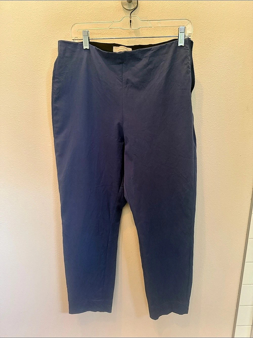 Everlane Ankle Pants in Blue Size 12